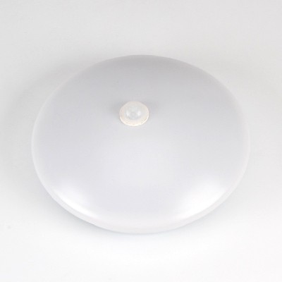 LED ceiling lamp BCGYXDJ03